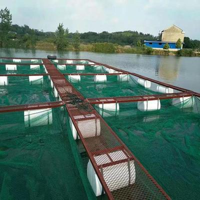 泥鰍黃鱔水產養殖防逃網箱 技術與福利的全方位解析