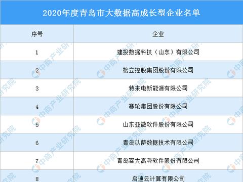 2020年度青島市大數據高成長型企業名單發布，數據處理與存儲服務引領行業風向